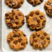 Pumpkin Protein Cookies – (A Scrumptious Fall Snack Or Dessert!)