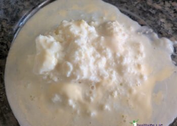 Rising Dwell Kefir Grains from Scratch
