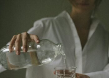 Repair Your Digestion: Probiotics for Intestine Well being