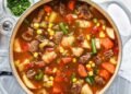 Vegetable Beef Soup