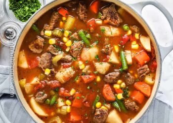 Vegetable Beef Soup