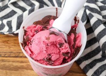 Cranberry Ice Cream – Barefeet within the Kitchen