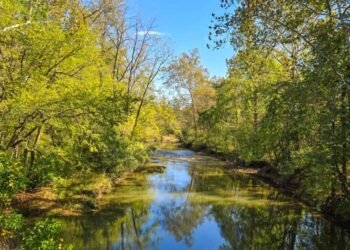 The Little Issues E-newsletter #490 – Life, laughter, and plenty of nice meals!