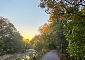 The Little Issues E-newsletter #491 – Life, laughter, and many nice meals!