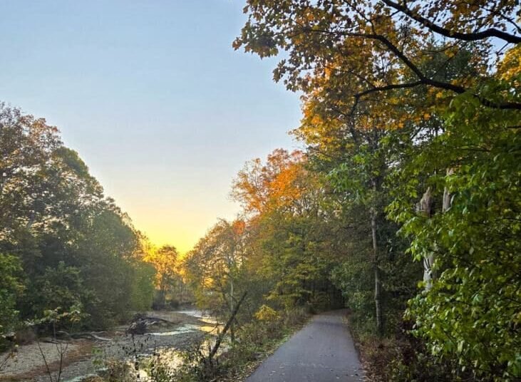 The Little Issues E-newsletter #491 – Life, laughter, and many nice meals!