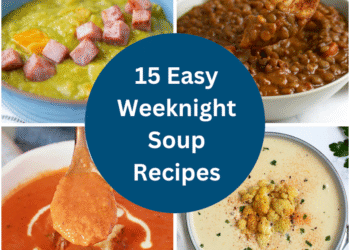 Our Favourite Straightforward Soup Recipes (Child-Pleasant!)