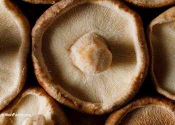 Most cancers Survival and Medicinal Mushrooms