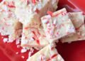 PEPPERMINT FUDGE – The Southern Woman Cooks