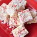 PEPPERMINT FUDGE – The Southern Woman Cooks