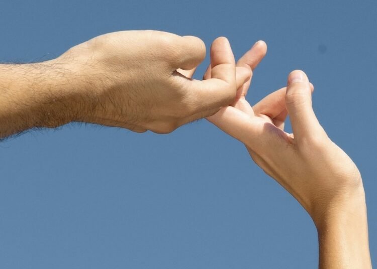 Are Berberine and Fiber the Final GLP-1 Powerhouse Pairing?