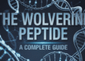Wolverine Peptide Stack Full Information: BPC-157 & TB-500 Dosage, Advantages & Facet Results