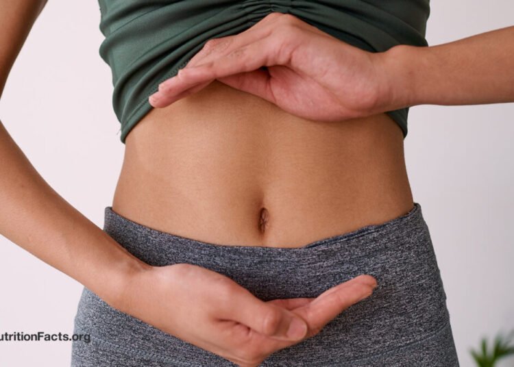 Can Vegan Fecal Transplants Decrease TMAO Ranges?