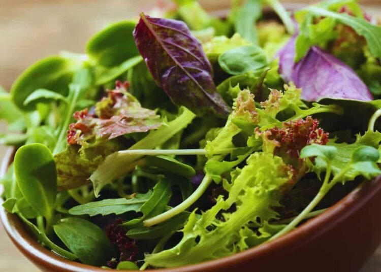8 Easy Methods to Forestall Soggy Salad Greens