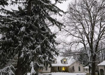 The Little Issues E-newsletter #498 – Life, laughter, and many nice meals!