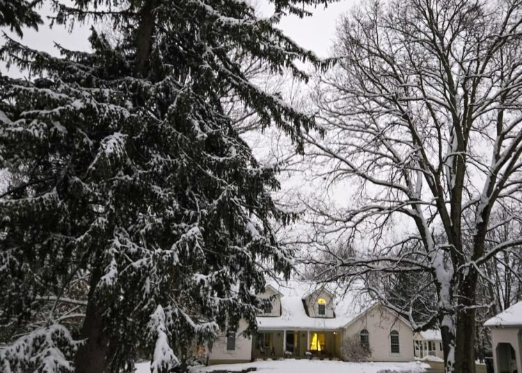 The Little Issues E-newsletter #498 – Life, laughter, and many nice meals!