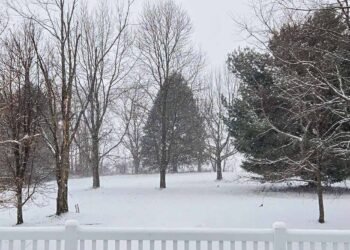 The Little Issues E-newsletter #499 – Life, laughter, and many nice meals!