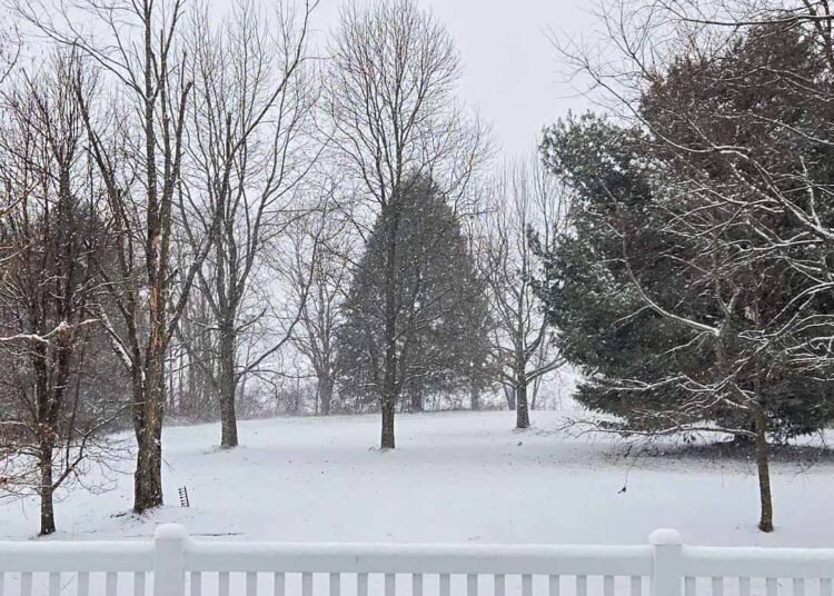 The Little Issues E-newsletter #499 – Life, laughter, and many nice meals!