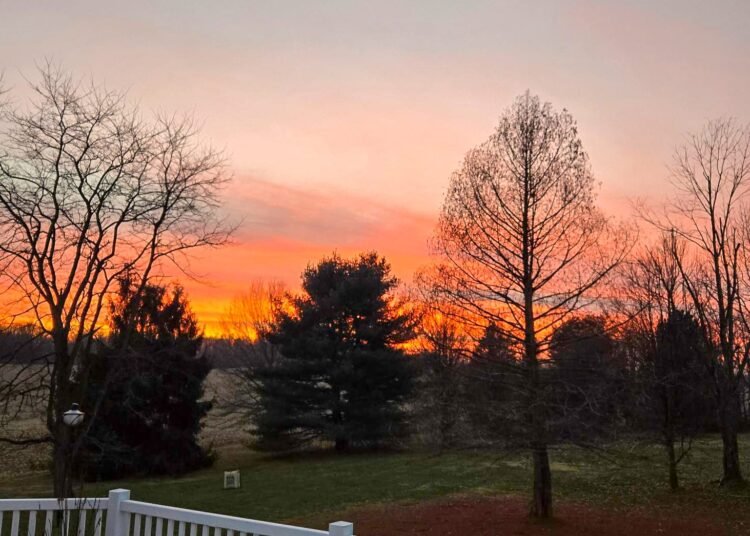 The Little Issues E-newsletter #501 – Life, laughter, and plenty of nice meals!