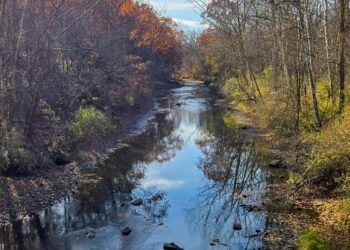 The Little Issues E-newsletter #497 – Life, laughter, and many nice meals!