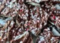 OREO PEPPERMINT BARK – The Southern Girl Cooks