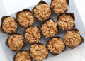 Pumpkin Streusel Oat Muffins – SHK