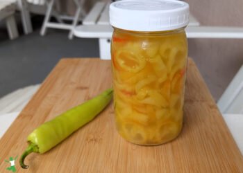 Pickled Banana Peppers | Wholesome Residence Economist