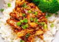 Sluggish Cooker Rooster Teriyaki – Closet Cooking