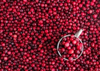 TikTok’s Viral Cranberry Recips for Winter