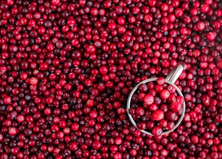 TikTok’s Viral Cranberry Recips for Winter