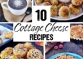 10 Excessive-Protein Candy and Savory Cottage Cheese Recipes