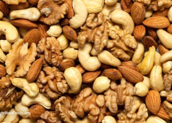 Nuts, Sperm, and Intercourse: The Stunning Connection