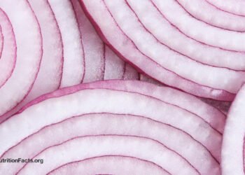 Can Onions Assist with Weight Loss, Ldl cholesterol, and PCOS?