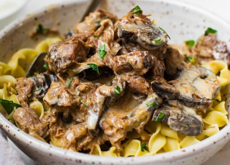 Sluggish Cooker Beef Stroganoff with Egg Noodles