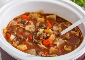 Gradual Cooker Beef and Cabbage Stew