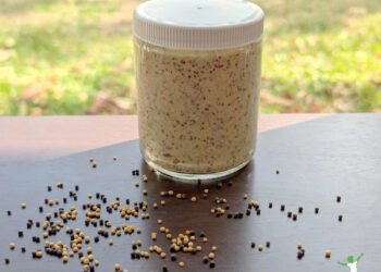 Complete Grain Dijon Mustard (evenly cultured)