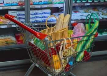 Why the Meals Pyramid Is Being Talked About (Once more)