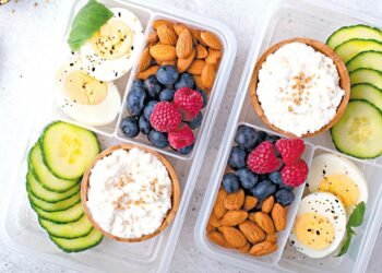 Greatest Excessive-Protein Snacks for GLP-1 Weight Loss: Full Purchasing Record & Information