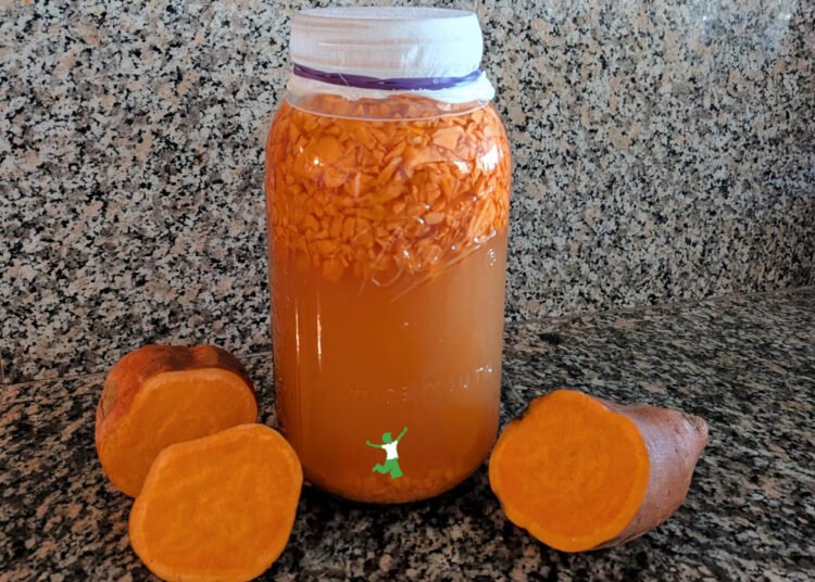 Candy Potato Soda | Wholesome Dwelling Economist