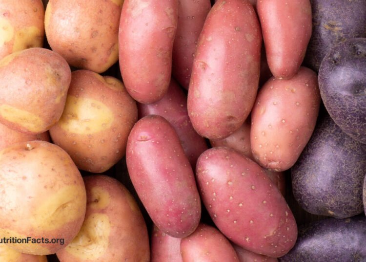 Which Potato Is the Most Nutritious?