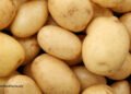 Potatoes and Diabetes: It’s Sophisticated