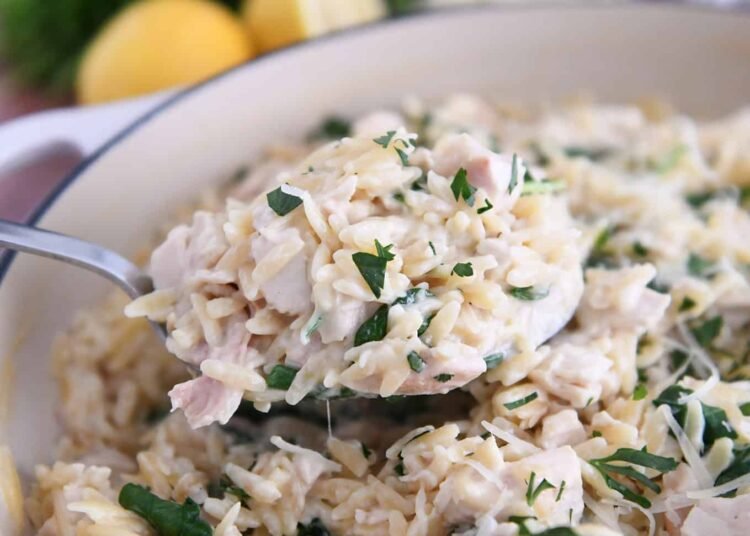 One Pot Creamy Lemon Orzo with Rooster