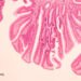 May Bovine Leukemia Virus be a Explanation for Breast Most cancers?