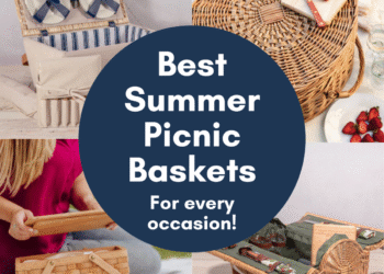 Greatest Picnic Baskets for Summer season