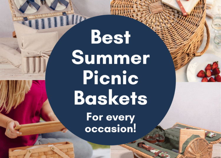 Greatest Picnic Baskets for Summer season