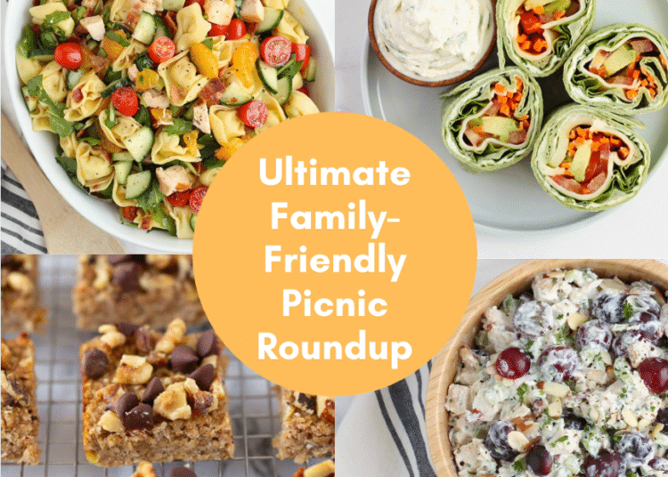 Simple Wholesome Picnic Recipes: The Final Household-Pleasant Picnic Roundup